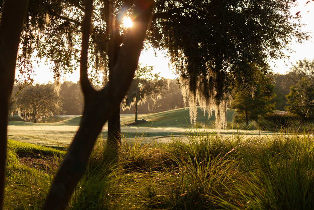 Sun, Sand Traps & Sunshine State Golf