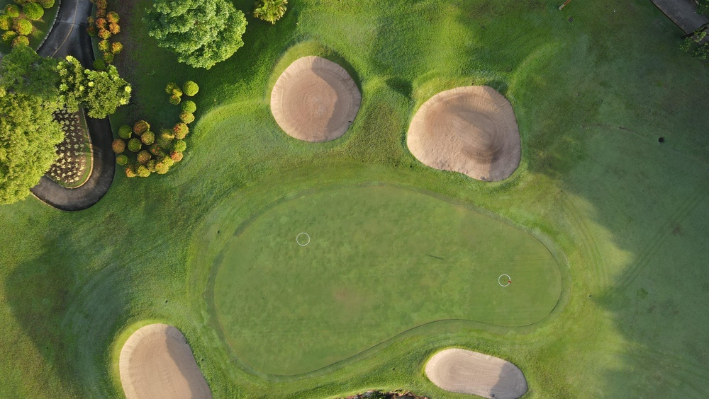 Sun, Sand Traps & Sunshine State Golf