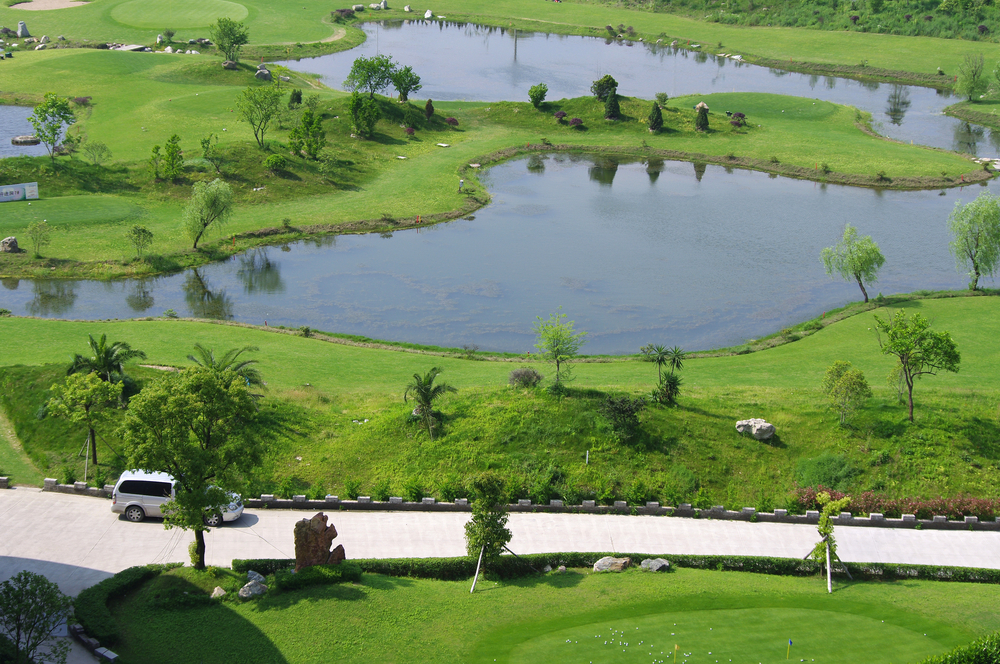 Sun, Sand Traps & Sunshine State Golf